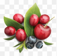 Index Of Images Emoji,Blueberries Emoticon Whatsapp