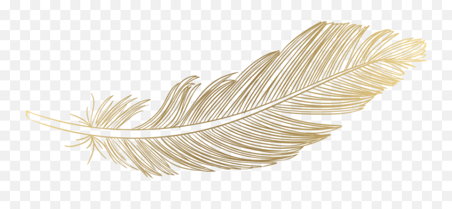 Feather Png Download Image Png Arts Emoji,Feather Emojis