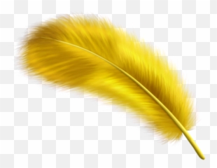 Largest Collection Of Free - Toedit Feders Stickers On Picsart Emoji,Feather Quill Emoji