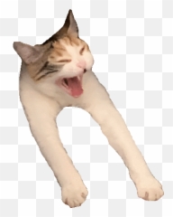 Copy Cat Theme Baamboozle Emoji,Pog Emoji Copy
