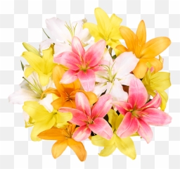 Dad Flowers Gifts For Parents Fromyouflowers Emoji,Flower Emojis Jacaranda