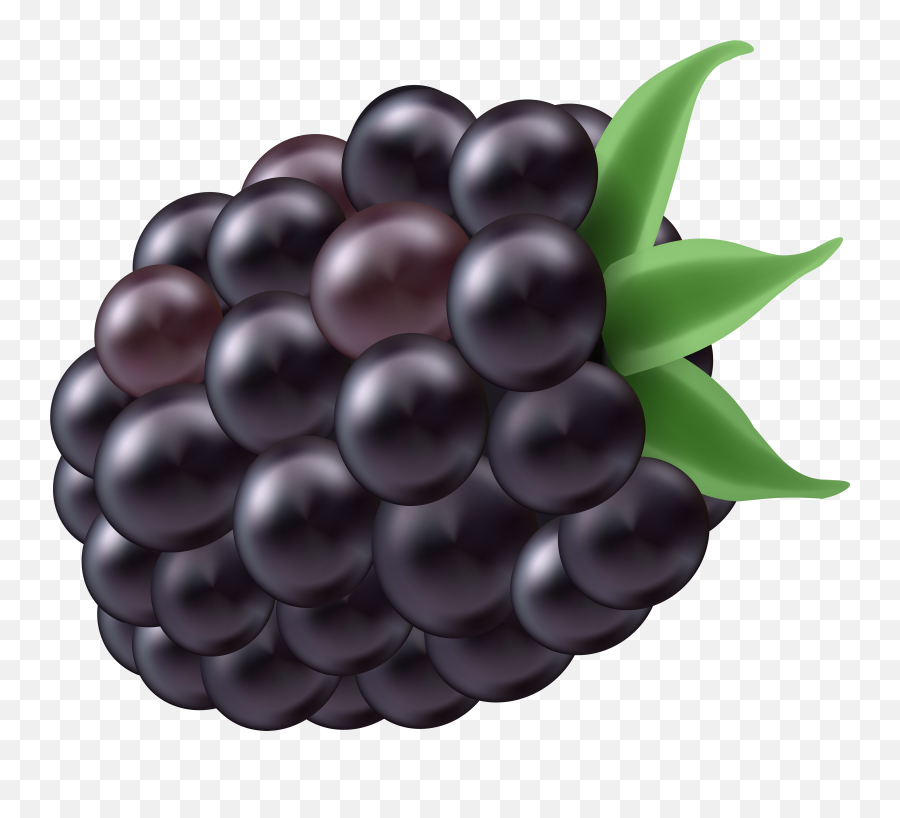 Berries Clipart Blackberry Berries - Clipart Blackberry Emoji,Blackberry Emoji