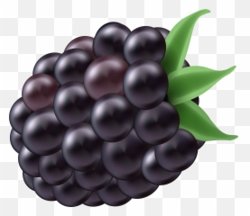 Berries Clipart Blackberry Berries - Clipart Blackberry Emoji,Blackberry Emoji