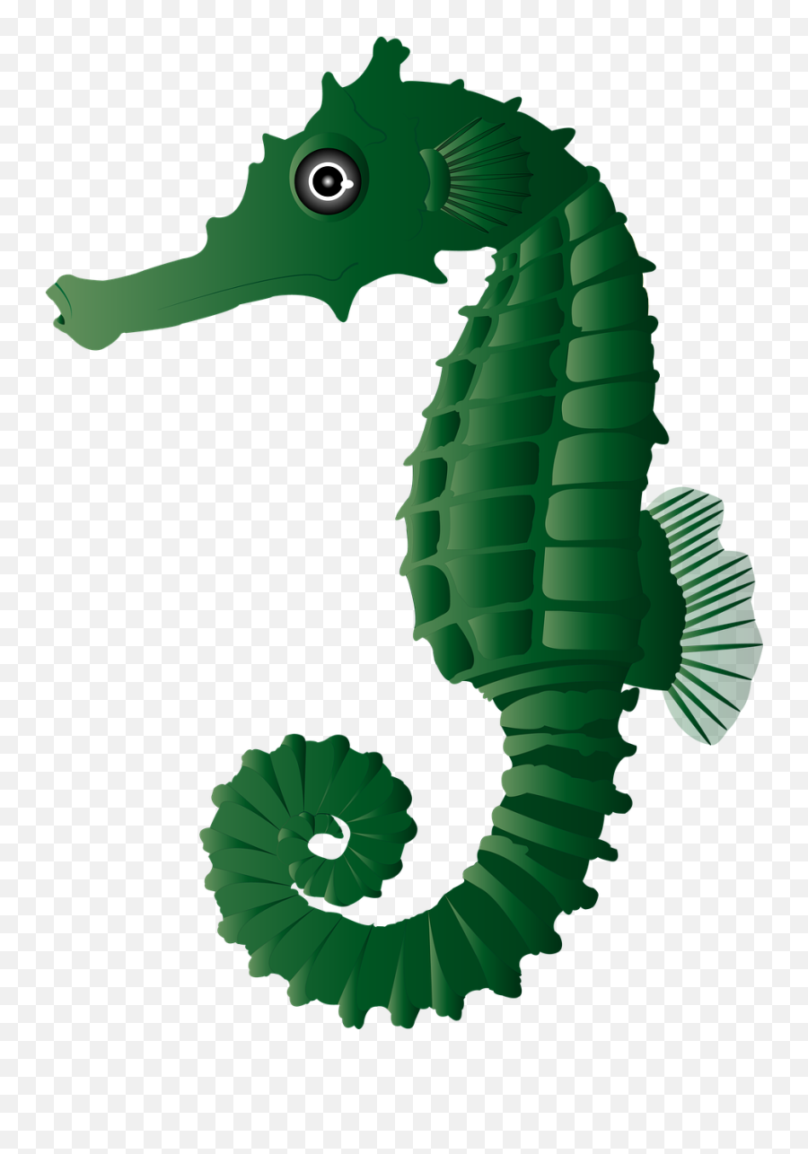 Caballito De Mar Verde Peces - Caballito De Mar Azul Png Emoji,Tipo De Espanol Sehorse Emoji