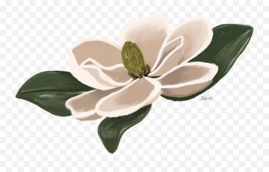 Flower Magnolia Floral Sticker - Girly Emoji,Magnolia Emoji