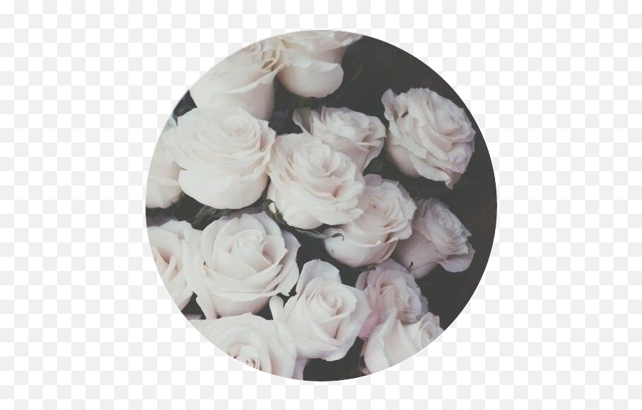 Aesthetic White Flowers Tumblr - Largest Wallpaper Portal Off White Flowers Aesthetic Emoji,Tumblr Emoticon Face Flowre