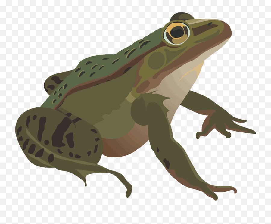 Free Frog Clipart - Anfibios Png Emoji,Spadefoot Toad Emotion