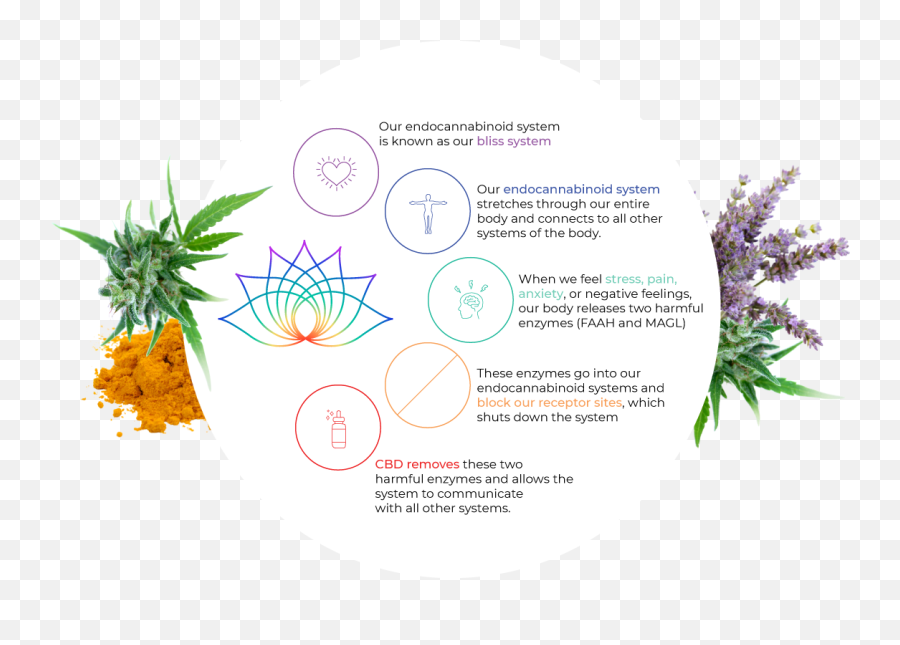 Lavender Cbd Tincture - Blooming Botanicals Hemp Language Emoji,Painful Emotions Going Down The Body