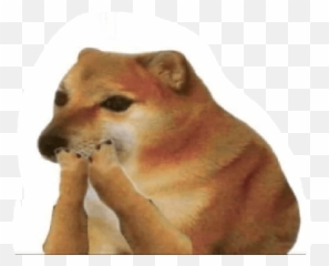 Chems Emoji,Discord Baby Chicken Emoji