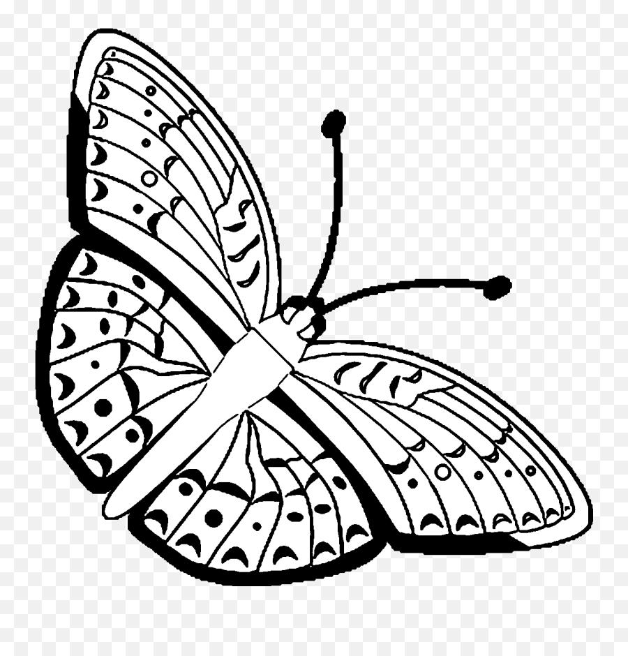 Black And White Butterfly Coloring Pages Butterfly 28 Gif - Dot Emoji,Eggplant Peach Emoji Gif