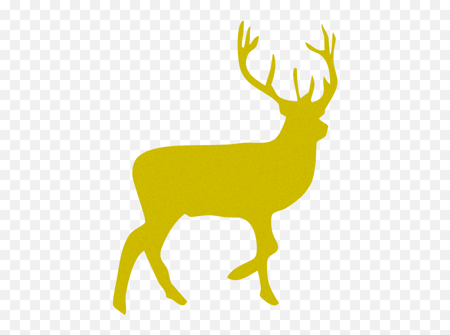 List Of Bands With Animal - Irish Wildlife Trust Emoji,Band Names Emoji