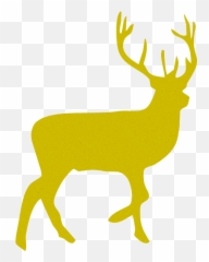List Of Bands With Animal - Irish Wildlife Trust Emoji,Band Names Emoji