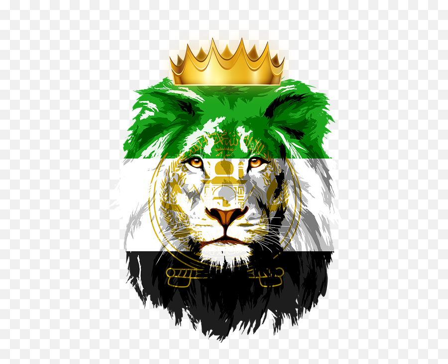 Free Photo Flag Tajikistan Afghanistan - Afghanistan Flag In Lion Emoji,Lion King Emotions
