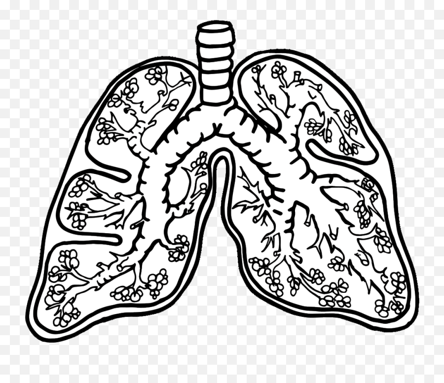 Lungs Cliparts Png Images - Anatomy Lungs Coloring Pages Emoji,Labeled Emoticon Black And White Image