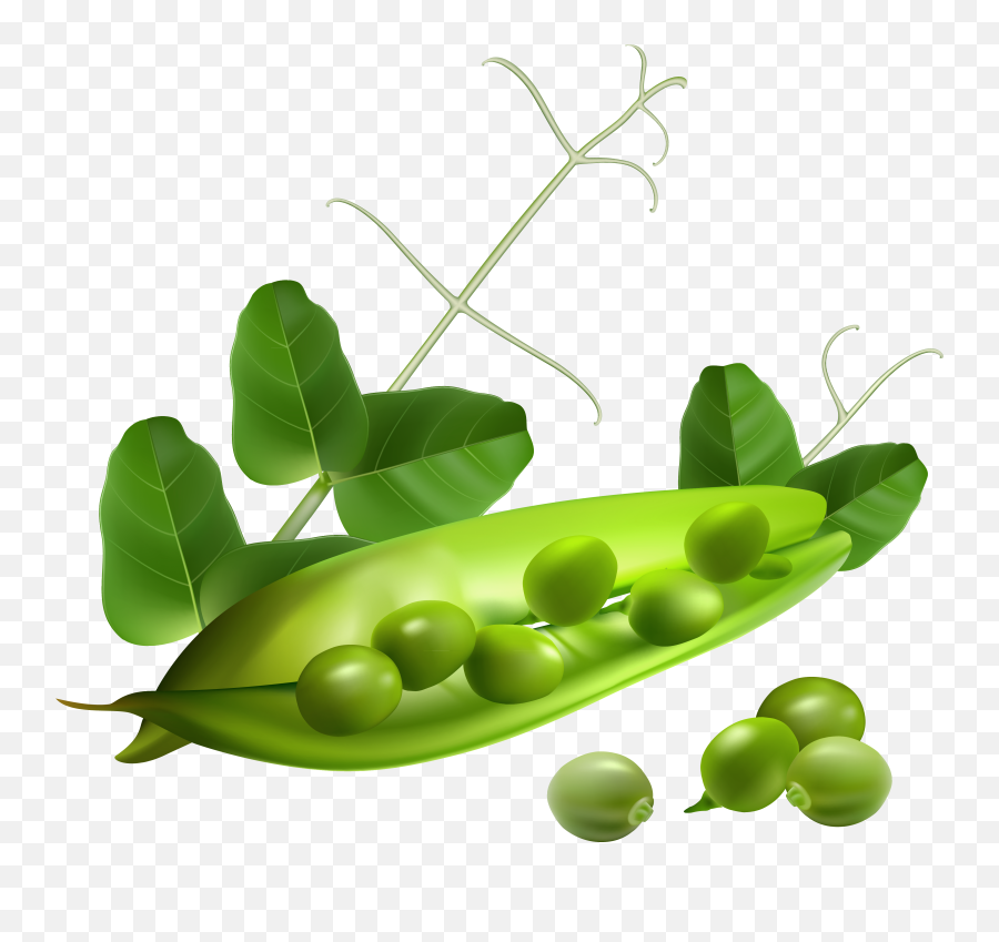 Edit - Snap Pea Transparent Background Emoji,Peas Emoji