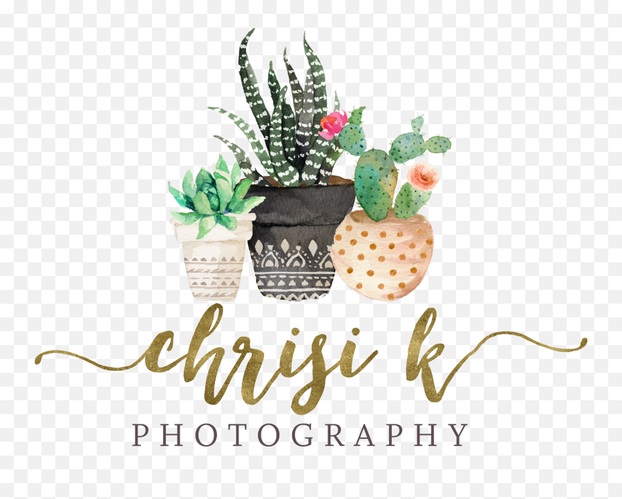 Chrisi K Photography Emoji,Photography+ Color+evoke Emotion