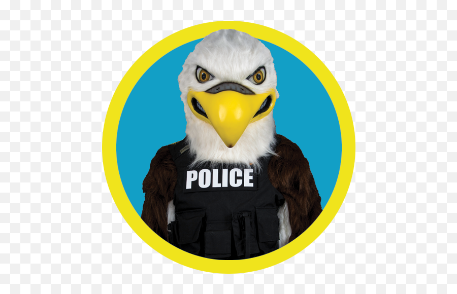 City Crew About City Crew Emoji,Pictures Eagle Bird Smiling Emoji