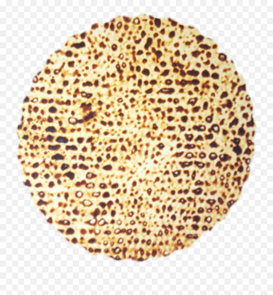 Matzah Passover Sticker - Animal Print Emoji,Passover Emoji