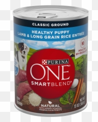 Purina One Natural Pate Wet Puppy Food Emoji,Fortnite Rock Out Emoticon Guitar Tab