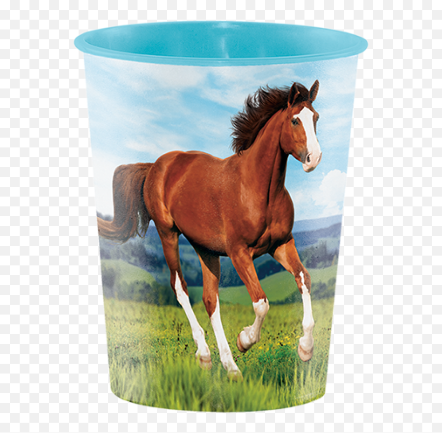 Horse And Pony Keepsake Souvenir Favor Cup Plastic 473ml - Amscan Vasos De Caballos De Plastico Emoji,Bearded Pony Emoticons