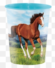 Horse And Pony Keepsake Souvenir Favor Cup Plastic 473ml - Amscan Vasos De Caballos De Plastico Emoji,Bearded Pony Emoticons
