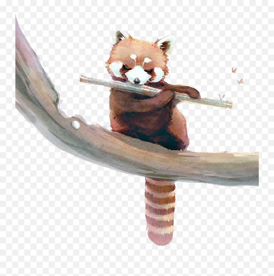 Download Red Panda Giant Panda Raccoon - Cartoon Cute Red Panda Emoji,Red Panda Emoji