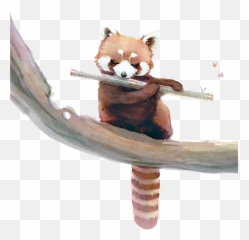 Download Red Panda Giant Panda Raccoon - Cartoon Cute Red Panda Emoji,Red Panda Emoji
