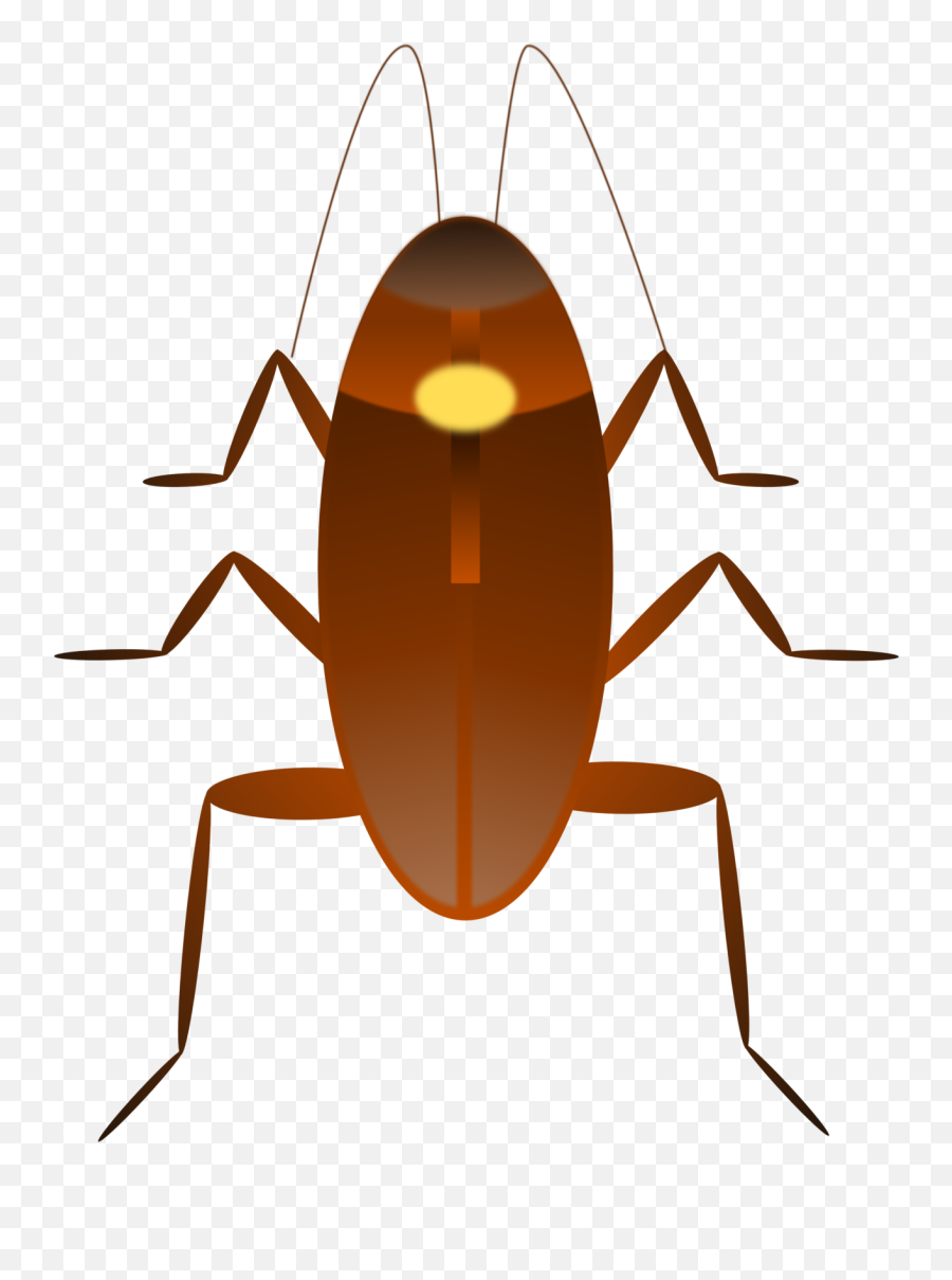 Clipart Info - Cucaracha Clipart Emoji,Info Emoji