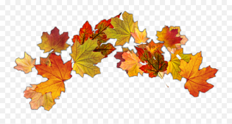 The Most Edited Autumnleaf Picsart - Lovely Emoji,Maple Leaf Emoticon For Facebook