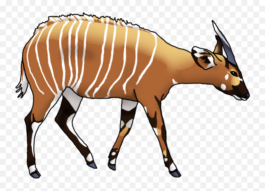 Antelope Bongo Drum Cartoon Drawing - Bongo Animal Clipart Emoji,Bongo Cat Emoji