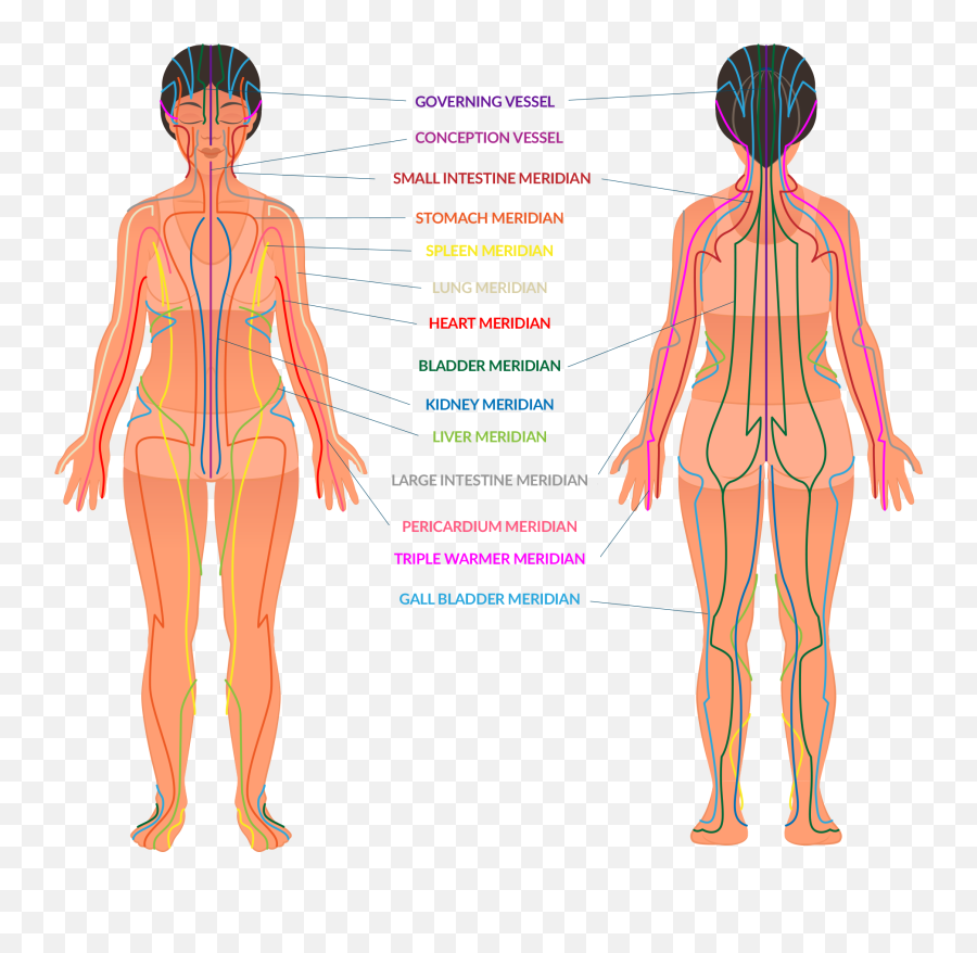 Body - For Adult Emoji,Kidney Meridian Emotions