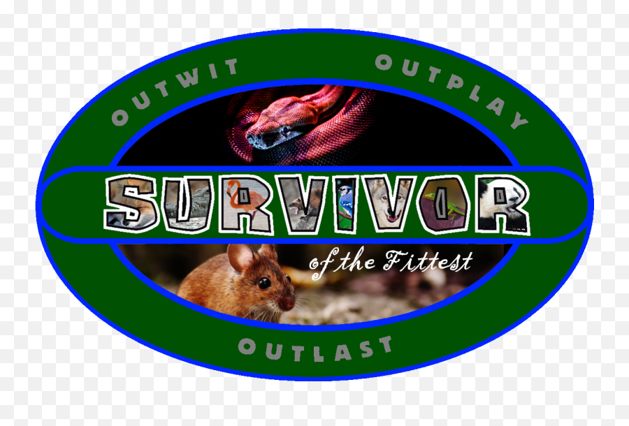 Advanced Survivor Of The Fittest - A Winner Is Cat Emoji,Gerbils Vs Hamsters Emotion