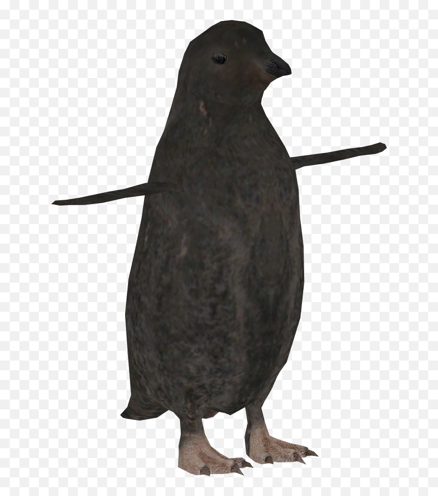 Adelie Penguin Demon Hunter Zt2 Download Library Wiki Emoji,Pigeon Emoji