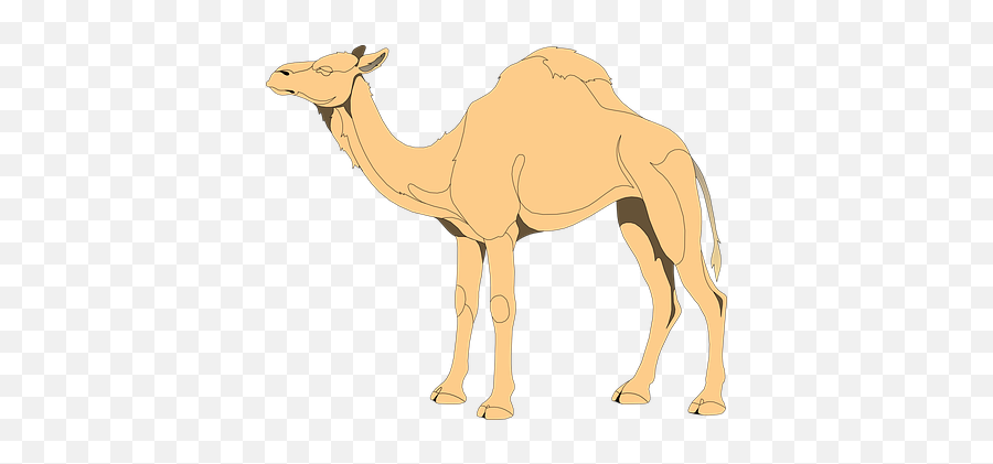 100 Free Exotic Animals U0026 Exotic Vectors Emoji,Camel Emoji Copy