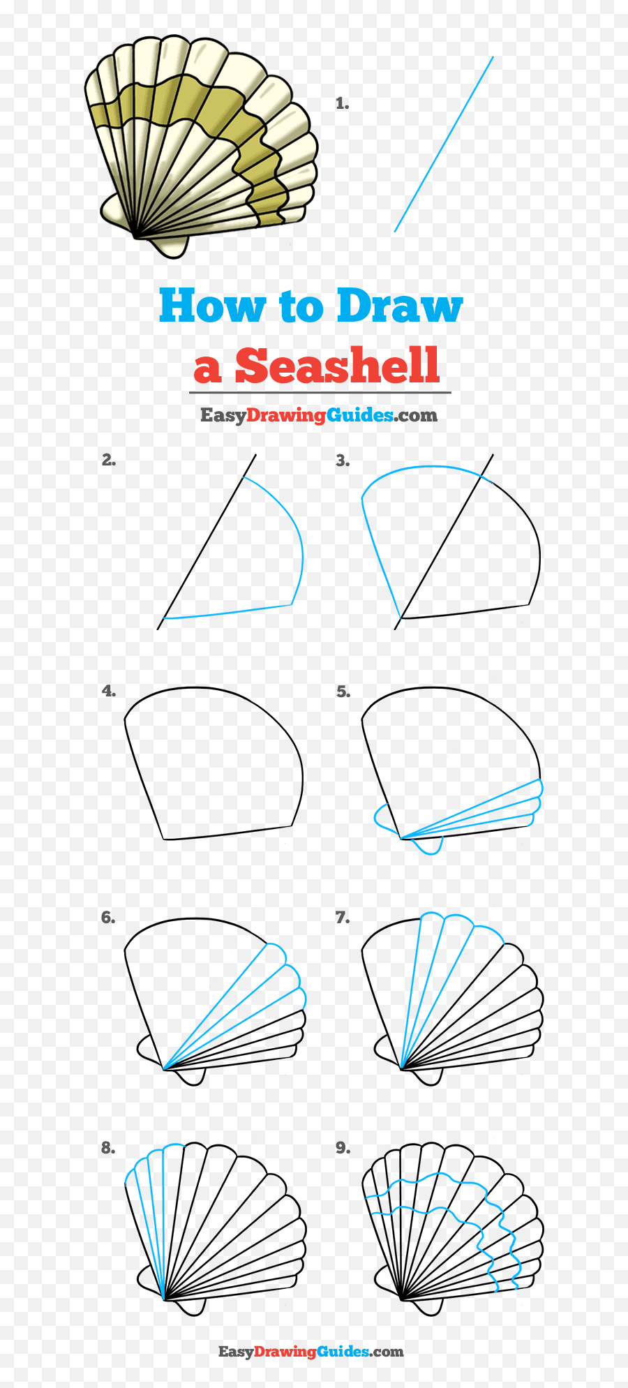 How To Draw Seashell Art Hub 5 - St Day Drawing Step By Step Emoji,Seashell Emoji