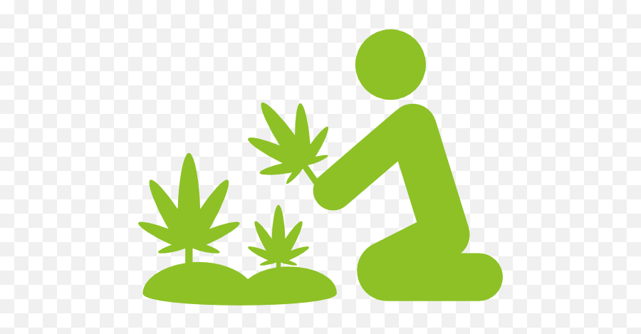 Lab Learning Center Green Cultured Elearning Solutions - Weeds Icon Emoji,Dispensary Green Cross Emoticon