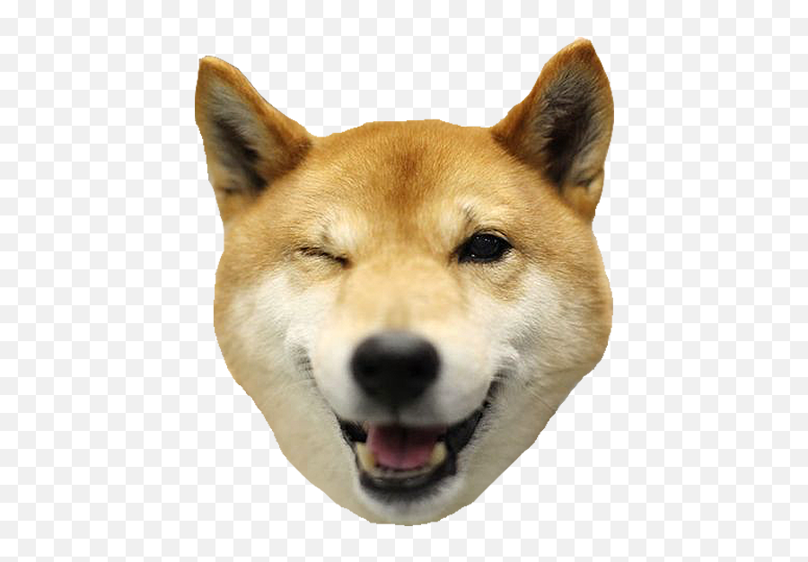 Shiba Dogs Head - Shiba Inu Head Transparent Emoji,Shiba Inu Emoji