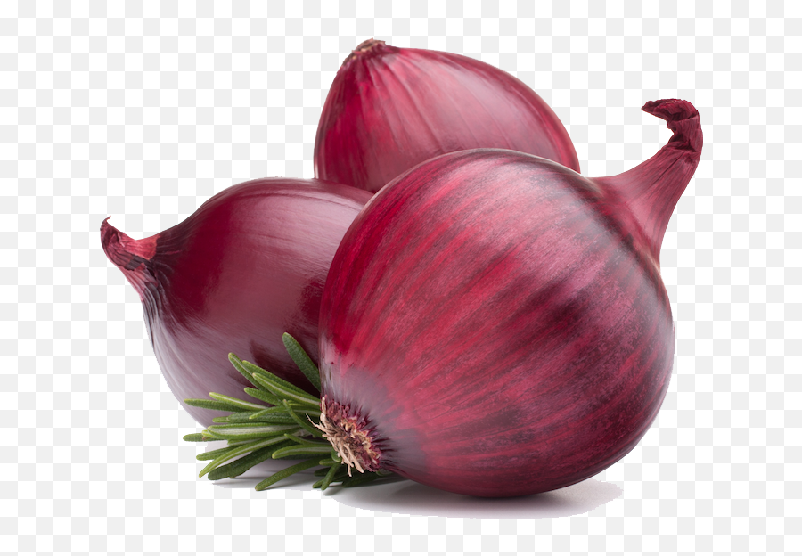 Download Free Png Red Onion Png Hd - Dlpngcom Red Onion Png Emoji,Onion Emoji