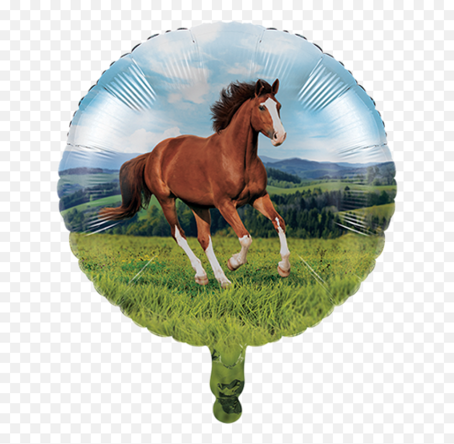 Cutouts Horse Racing Assorted Designs - Amscan Globos Centros De Mesa De Caballos Emoji,Horse Emoticons