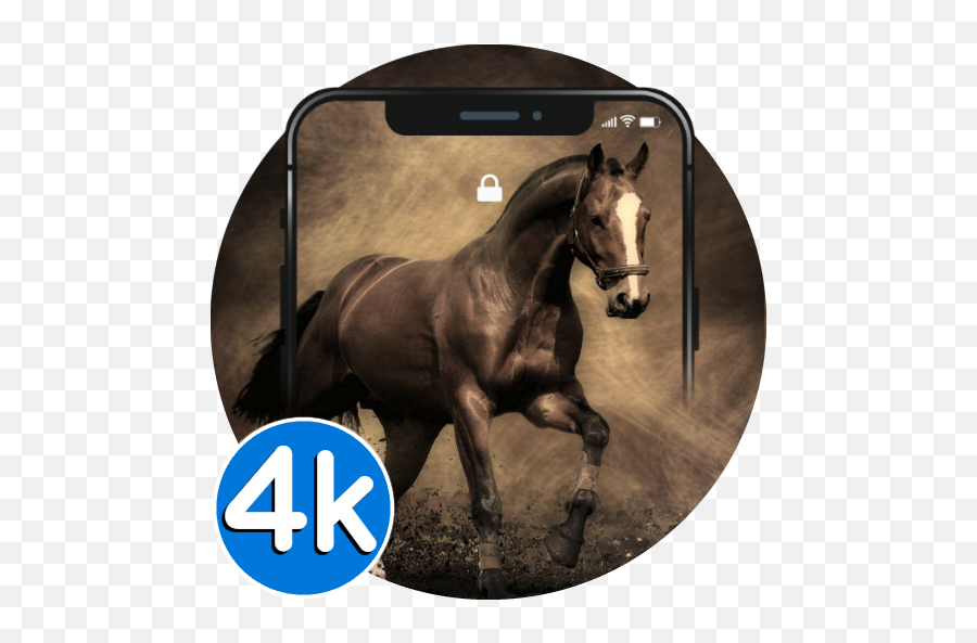 Horse Wallpapers - 4k Hd Running Horses Pics 10 Apk Frases Para Cavalos Amigos Emoji,Horse Made Of Emojis