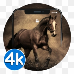 Horse Wallpapers - 4k Hd Running Horses Pics 10 Apk Frases Para Cavalos Amigos Emoji,Horse Made Of Emojis