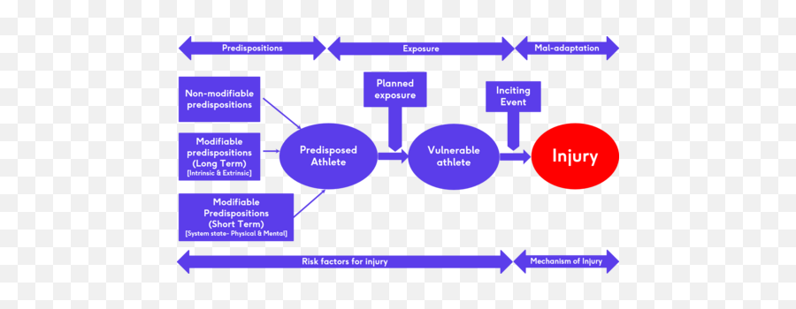 Musculoskeletal Injury Risk Screening - Physiopedia Emoji,Optimization Of Athletic Performance: Emotion- & Action-centered Approaches