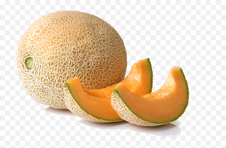 Melon Psd Official Psds - Cantaloupe Ready To Eat Emoji,Melon Emoji