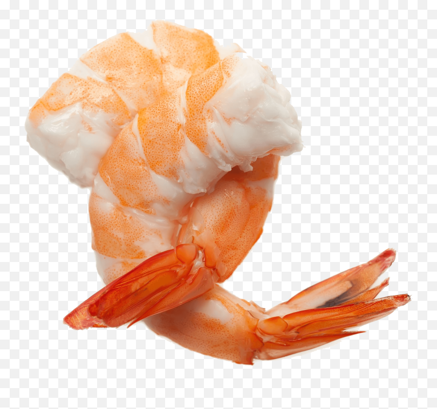Shrimps Png - Clip Art Library Emoji,Shrimp In Shrimp Emoji