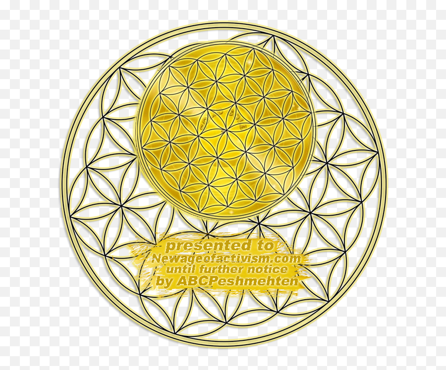 Council Of - Pattern Flower Of Life Svg Emoji,Car*tas De Emotion Con Todos Los Sentimientos