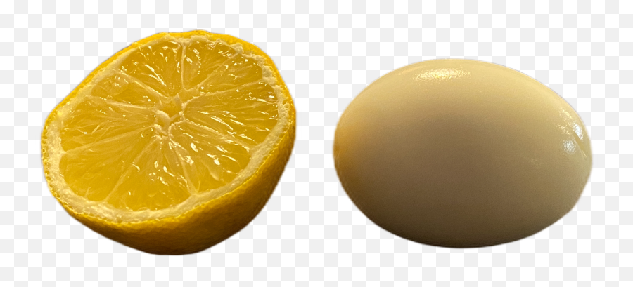 Notebook U2013 Coté - Juice Vesicles Emoji,Big Lemon Emoji Png