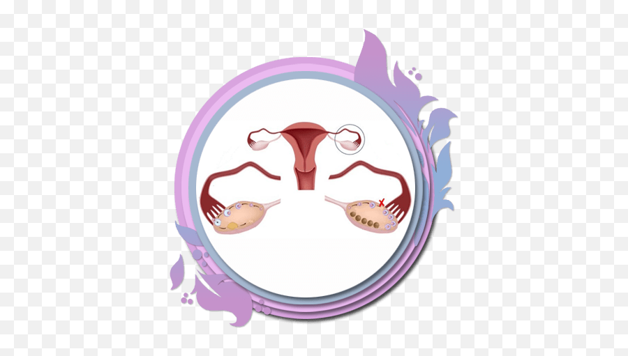 Treatment Of Ovarian Laziness - You Get Pregnant Emoji,Entrance Ovary Emotion