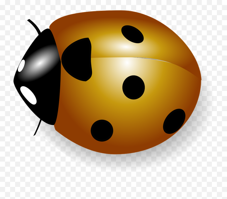 Free Clipart Hammer And Keyboard In Star - Proletariat Worker Orange Ladybird Png Emoji,Hammer And Sickly Emoticon