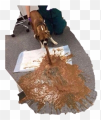 The Most Edited Barf Picsart Emoji,Puking Dog Emoji