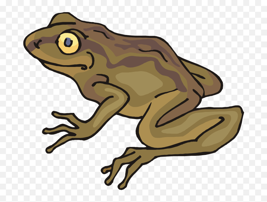 Free Toad Cliparts Png Images - Toad Clipart Transparent Background Emoji,Spadefoot Toad Emotion